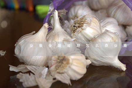京東金融逾期怎么查(京東金融查不到賬單)