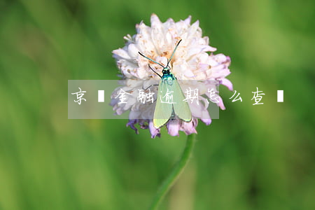 京東金融逾期怎么查詢