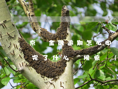 京東金融逾期怎么申請解封(京東金融逾期還完了 什么時候恢復(fù))