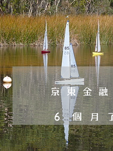 京東金融逾期應訴是真的嗎-京東金融逾期6個月了,會不會被起訴