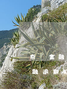 京東金融逾期打聯(lián)系人(京東金融逾期打電話(huà)過(guò)來(lái)有沒(méi)有事?)
