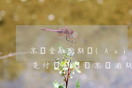 京東金融逾期會(huì)凍結(jié)支付寶賬戶嗎(京東逾期會(huì)凍結(jié)銀行卡和支付寶賬戶嗎)