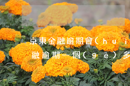京東金融逾期會(huì)去單位嗎(京東金融逾期一個(gè)多月了會(huì)有什么后果?)
