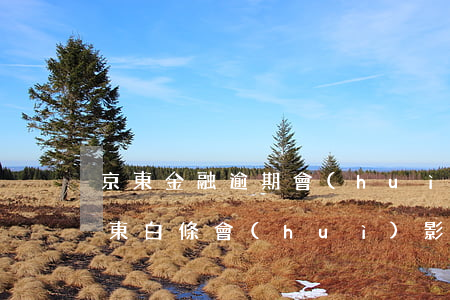 京東金融逾期會(huì)影響備用金嗎(京東白條會(huì)影響備用金嗎)