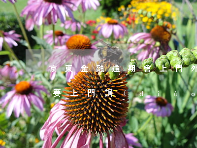 京東金融逾期會上門外訪嗎 京東金融逾期說要上門調(diào)查經(jīng)濟情況是真的嗎