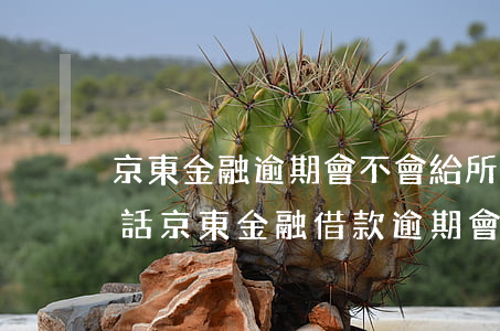京東金融逾期會不會給所有通訊錄的人打電話（京東金融借款逾期會包通訊錄嗎）