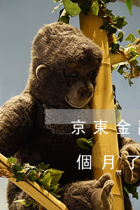 京東金融逾期會取消分期么(京東金融逾期三個月了會有什么后果?)