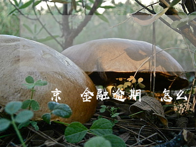 京東金融逾期會怎么楊洋