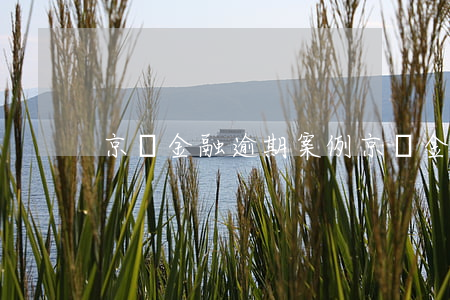 京東金融逾期案例(京東金融逾期案例)