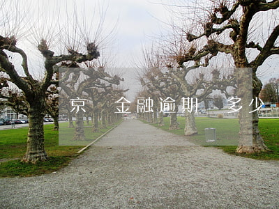 京東金融逾期漲多少