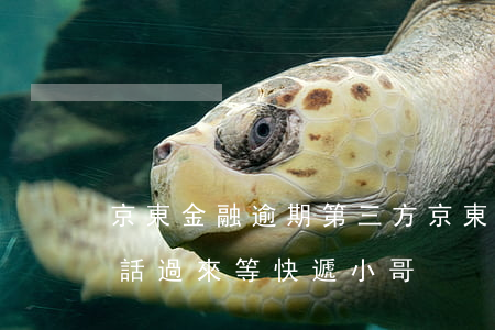 京東金融逾期第三方(京東金融逾期第三方電話過來等快遞小哥)