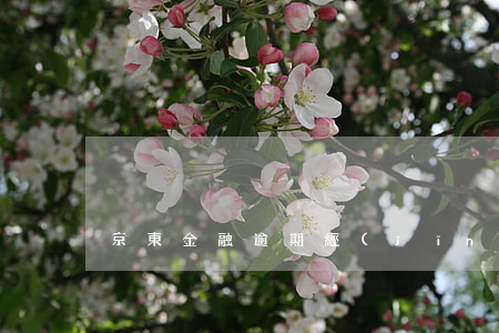 京東金融逾期經(jīng)常逾期