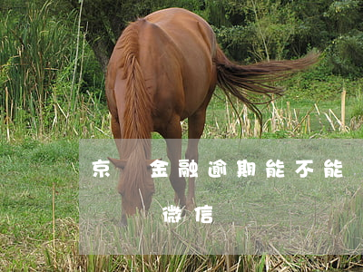 京東金融逾期能不能凍結微信（京東金融逾期凍結微信）