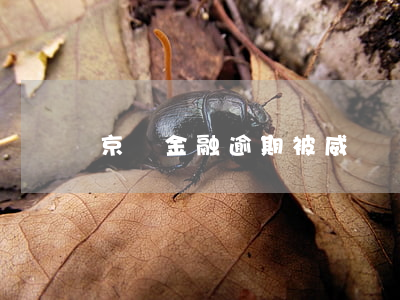 京東金融逾期被威脅