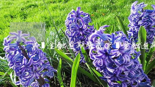 京東金融逾期警戒(京東金融逾期警戒)
