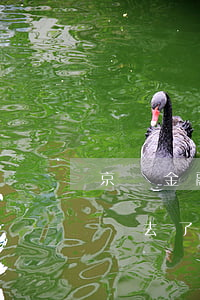 京東金融逾期讓還全款(京東金融逾期1天還進去了還能再借嗎)