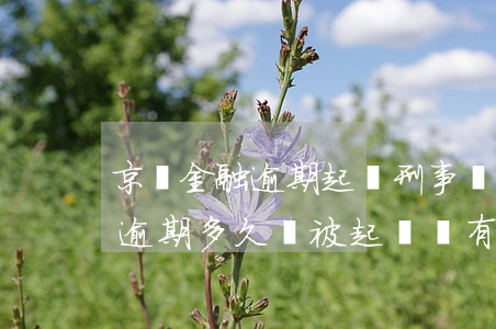 京東金融逾期起訴刑事責任嗎 京東金融貸款逾期多久會被起訴會有什么后果
