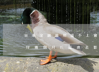 京東金融逾期還不上會坐牢嗎(京東金融逾期好幾個月后還進去影響大嗎)