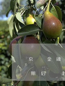 京東金融逾期還了可以借嗎(京東金融借款逾期后還上款還可以用嗎)