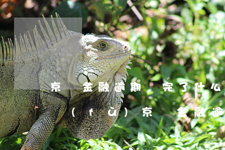 京東金融逾期還完了 什么時(shí)候恢復(fù)（京東金融逾期還本金）