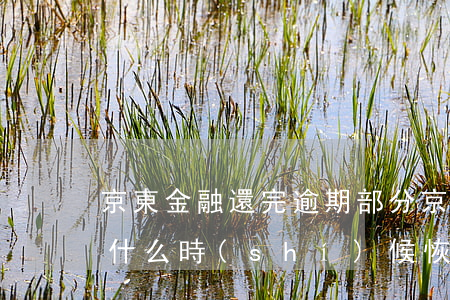京東金融還完逾期部分 京東金融逾期還完了 什么時(shí)候恢復(fù)