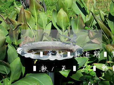 京東金融還款逾期會怎樣(京東金融貸款逾期還款1天會不會影響信用)