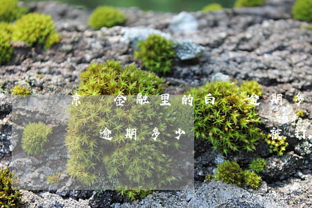 京東金融里的白條逾期多久沒事(京東金融白條逾期多少時間會被打電話)