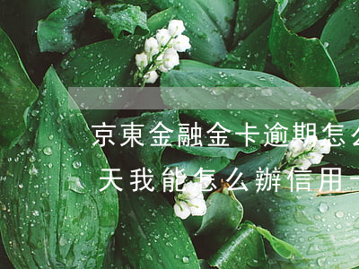 京東金融金卡逾期怎么辦 京東金融逾期15天,我能怎么辦信用卡