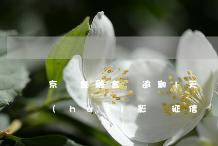 京東金融金條逾期1天還會(huì)不會(huì)影響征信記錄（京東金融金條逾期上報(bào)征信周期）