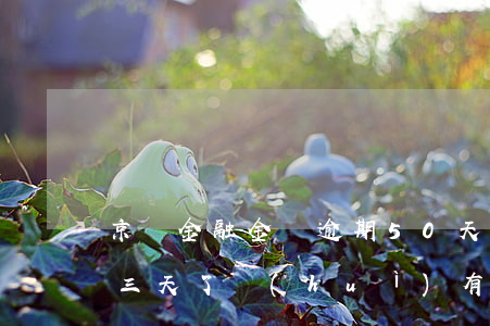 京東金融金條逾期50天(京東金融金條逾期三天了會(huì)有什么后果?)