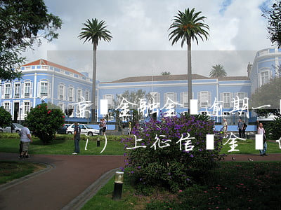 京東金融金條逾期一個(gè)月會(huì)上征信嗎（金東白條逾期一個(gè)月上征信嗎）