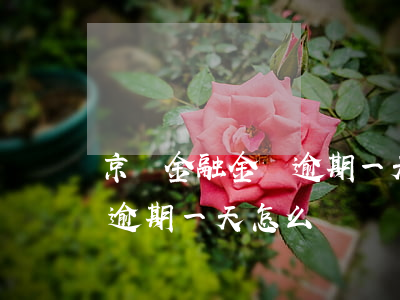 京東金融金條逾期一天怎么辦(京東金融金條逾期一天怎么辦)