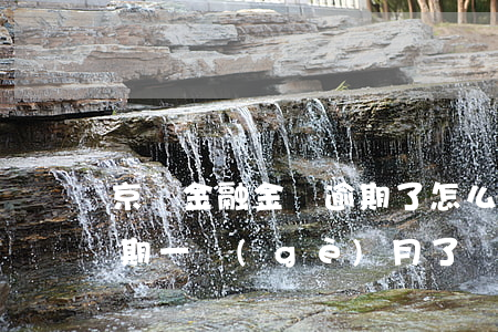 京東金融金條逾期了怎么辦(京東金融金條逾期一個(gè)月了會(huì)有什么后果?)