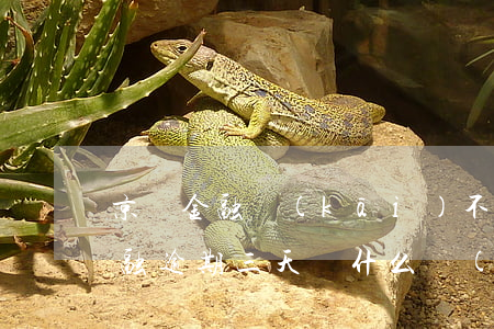 京東金融開(kāi)不是惡意逾期 京東金融逾期三天為什么開(kāi)通不了了