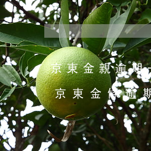 京東金親逾期一天會(huì)影響征信嗎 京東金條逾期一天還款會(huì)上征信嗎