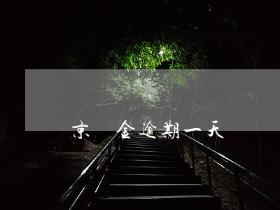 京東金逾期一天