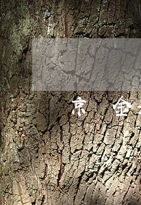 京東金采逾期被凍結(jié)解凍(法院會凍結(jié)京東小金庫嗎)