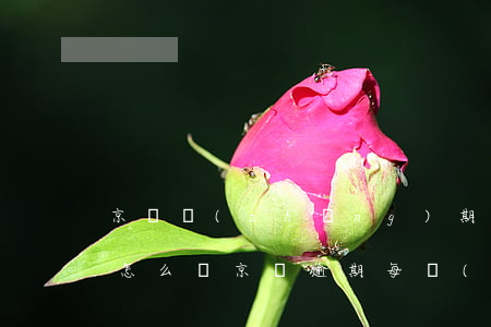 京東長(zhǎng)期逾期會(huì)怎么樣(京東逾期每個(gè)月持續(xù)還款會(huì)被起訴嗎)