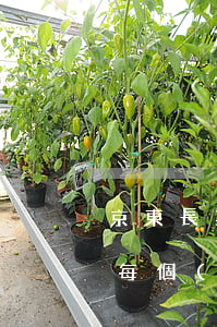 京東長期逾期會(huì)怎么樣(京東逾期每個(gè)月持續(xù)還款會(huì)被起訴嗎)