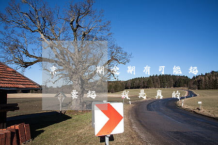 京東長期逾期有可能起訴嗎(京東逾期三十天說要起訴我 是真的嗎)