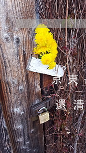 京東長期逾期還款-京東欠款逾期要求全部還清可不可以先還逾期部分