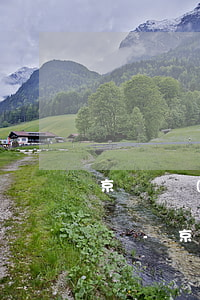 京東開(kāi)通白條怎么還款可以取消嗎-京東開(kāi)通白條怎么還款可以取消嗎安全嗎