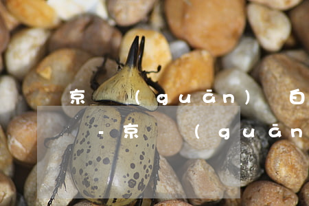 京東關(guān)閉白條后怎么看還款記錄-京東關(guān)閉白條后怎么看還款記錄呢
