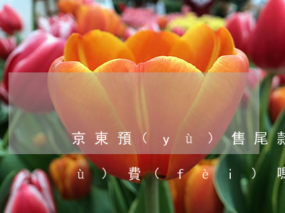 京東預(yù)售尾款免息分期有手續(xù)費(fèi)嗎-京東預(yù)售尾款免息分期有手續(xù)費(fèi)嗎安全嗎