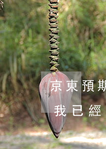 京東預期幾個月起訴(京東逾期多少天會起訴,我已經(jīng)還了2000多)