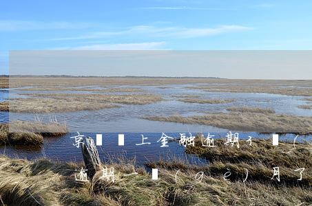 京東馬上金融逾期3個(gè)月(京東金融逾期一個(gè)月了要我全部還清)