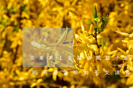 京東馬上金融逾期孩子能上學嗎(京東金融逾期不還會限制子女讀書嗎)