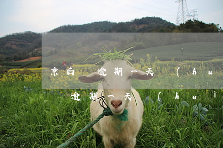 京白條逾期一天會(huì)上征信嗎(京白條逾期一天會(huì)上征信嗎)