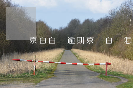 京白白條逾期 京東白條怎么還