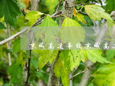 京藏高速事故(京藏高速事故今日 视频)